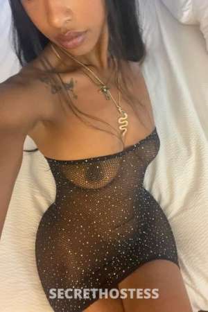 Kitty 21Yrs Old Escort Colorado Springs CO Image - 2