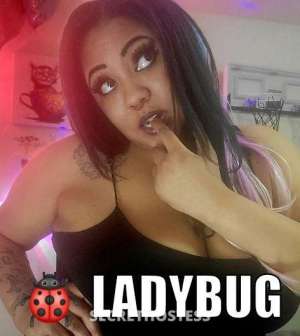 Ladybug 29Yrs Old Escort Monterey CA Image - 5