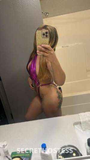 Laura 27Yrs Old Escort Myrtle Beach SC Image - 0