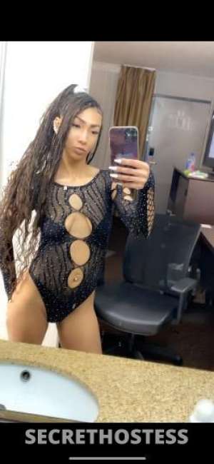 Lightbright 22Yrs Old Escort Detroit MI Image - 5