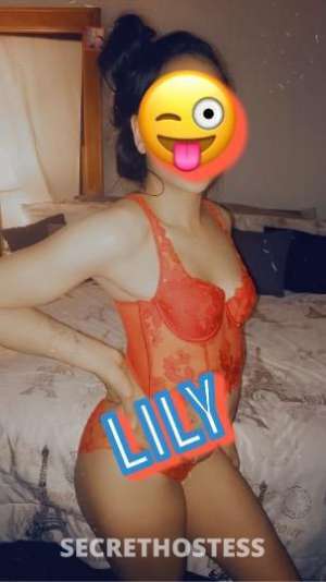 Lily 26Yrs Old Escort 162CM Tall Minneapolis MN Image - 1