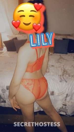 Lily 26Yrs Old Escort 162CM Tall Minneapolis MN Image - 3