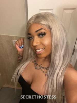 28 year old Escort in Westchester NY Malibu . (Rockland