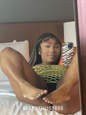 Marie 20Yrs Old Escort Detroit MI Image - 0