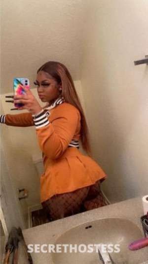 MissTexas 24Yrs Old Escort Knoxville TN Image - 0