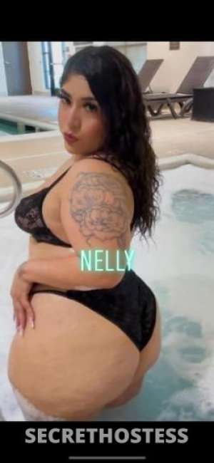 Nelly 20Yrs Old Escort Phoenix AZ Image - 3