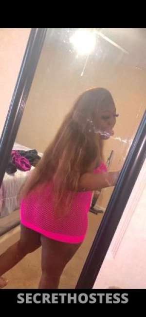 Rayleona 22Yrs Old Escort Houston TX Image - 1