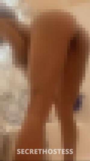 Rose 26Yrs Old Escort Columbus OH Image - 3