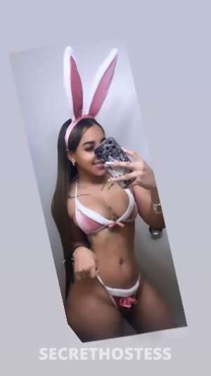Rossy🔥 25Yrs Old Escort Chicago IL Image - 3