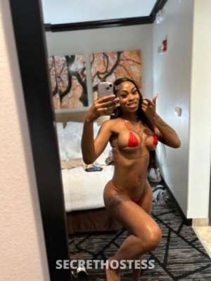 THROATGOAT 23Yrs Old Escort Lafayette LA Image - 1