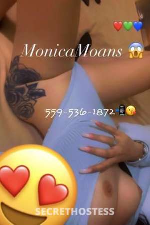 monicamoans 23Yrs Old Escort San Jose CA Image - 4