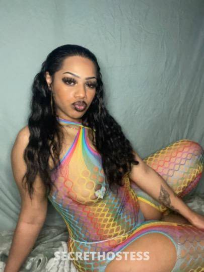 Foreign?? 21Yrs Old Escort Tacoma WA Image - 3