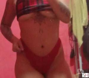 20 Year Old White Escort Bom Jesus - Image 2