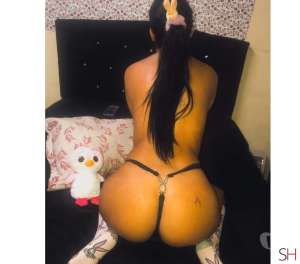 24Yrs Old Escort Paraná Image - 0