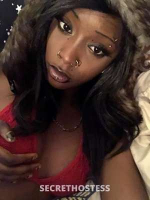 25Yrs Old Escort Chicago IL Image - 1