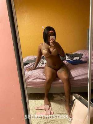 27Yrs Old Escort Fort Lauderdale FL Image - 1