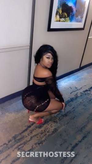 28Yrs Old Escort Detroit MI Image - 2