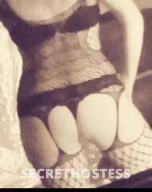 36Yrs Old Escort Size 12 177CM Tall Traralgon Image - 2