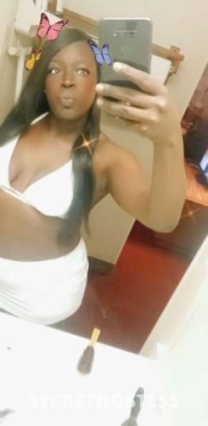 Amber 24Yrs Old Escort Madison WI Image - 7