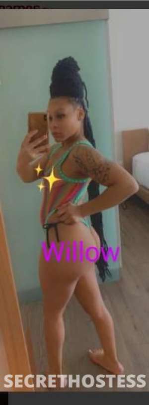 AnaMarie 26Yrs Old Escort Jackson MS Image - 3