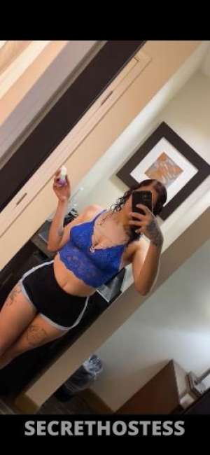 Ariel 24Yrs Old Escort Austin TX Image - 1