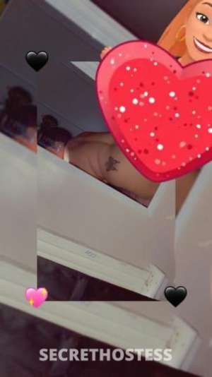 21 year old Escort in Albany NY come have fun with ashley