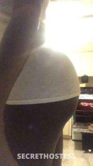 BlackDiamond 29Yrs Old Escort Tampa FL Image - 0