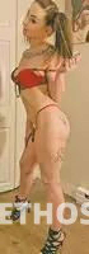 Brandy 26Yrs Old Escort North Jersey NJ Image - 0