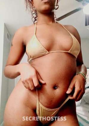 Canela 23Yrs Old Escort Houston TX Image - 0