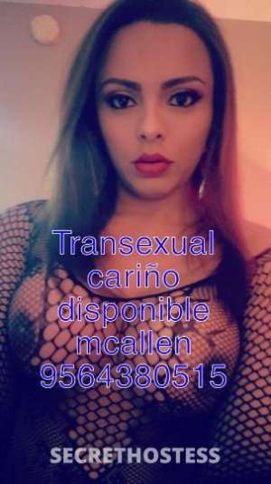 Cariño 25Yrs Old Escort McAllen TX Image - 3