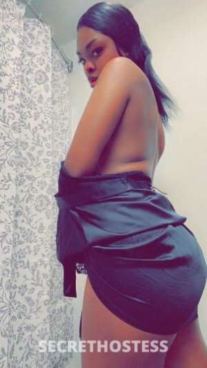 Honey🍯 25Yrs Old Escort Seattle WA Image - 1