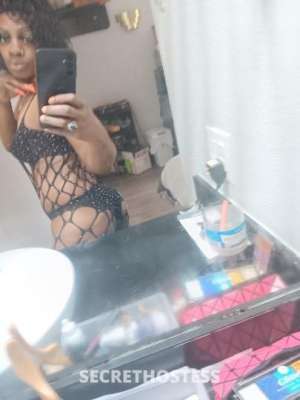 Kandy 27Yrs Old Escort Dallas TX Image - 3