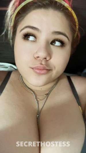 Kitty 22Yrs Old Escort San Antonio TX Image - 5