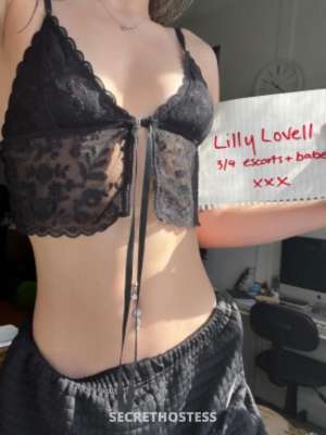 20 Year Old Blonde Australian Escort in Coniston - Image 5