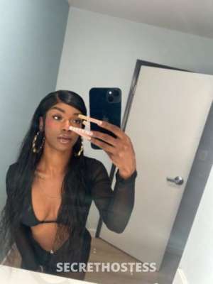 Nana 19Yrs Old Escort Los Angeles CA Image - 11