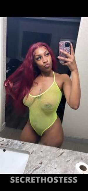 NikkiNatural 23Yrs Old Escort Houston TX Image - 1