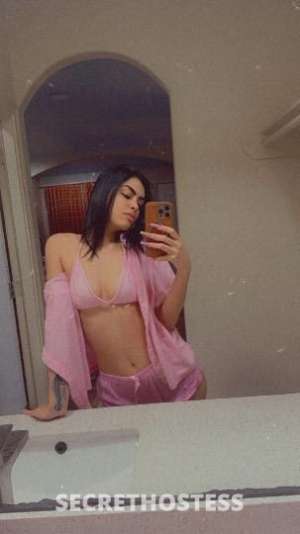 Rositafresita 24Yrs Old Escort Houston TX Image - 1