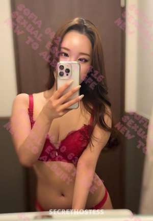 Sofia 25Yrs Old Escort Albury Image - 4