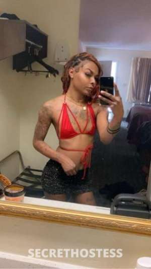 Xxtacy 27Yrs Old Escort North Mississippi MS Image - 5