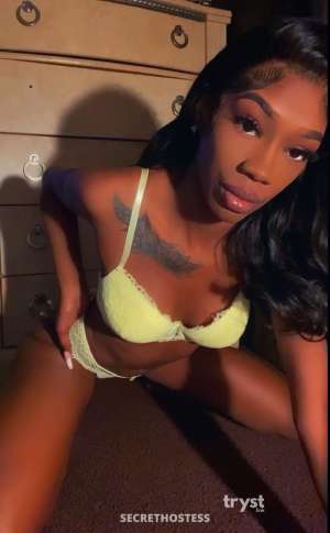 20 Year Old Black Escort Las Vegas NV Brunette - Image 2