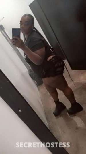 26Yrs Old Escort Dallas TX Image - 3