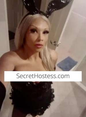 40 Year Old Blonde Brazilian Escort in Subiaco - Image 5