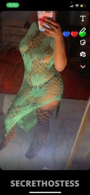 Bubbles 25Yrs Old Escort Little Rock AR Image - 3