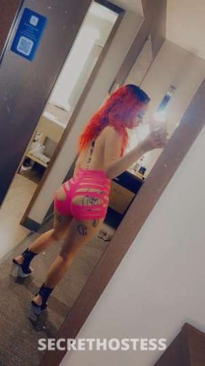 VanessaBabies 25Yrs Old Escort San Fernando Valley CA Image - 2