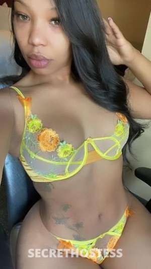 Hazel 25Yrs Old Escort San Mateo CA Image - 2