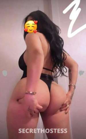 26Yrs Old Escort North Bay CA Image - 1