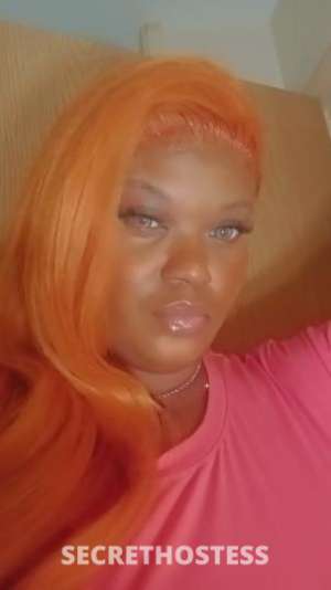 Champain 37Yrs Old Escort Little Rock AR Image - 1