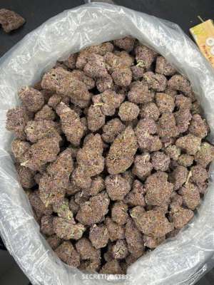 Donna 25Yrs Old Escort Size 8 165CM Tall Lexington KY Image - 8