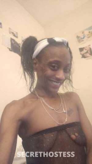 Fig 36Yrs Old Escort 157CM Tall Raleigh-Durham NC Image - 5