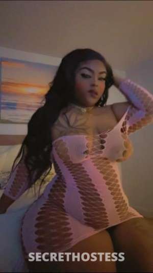 Kashoutkitty 28Yrs Old Escort Bridgeport CT Image - 2